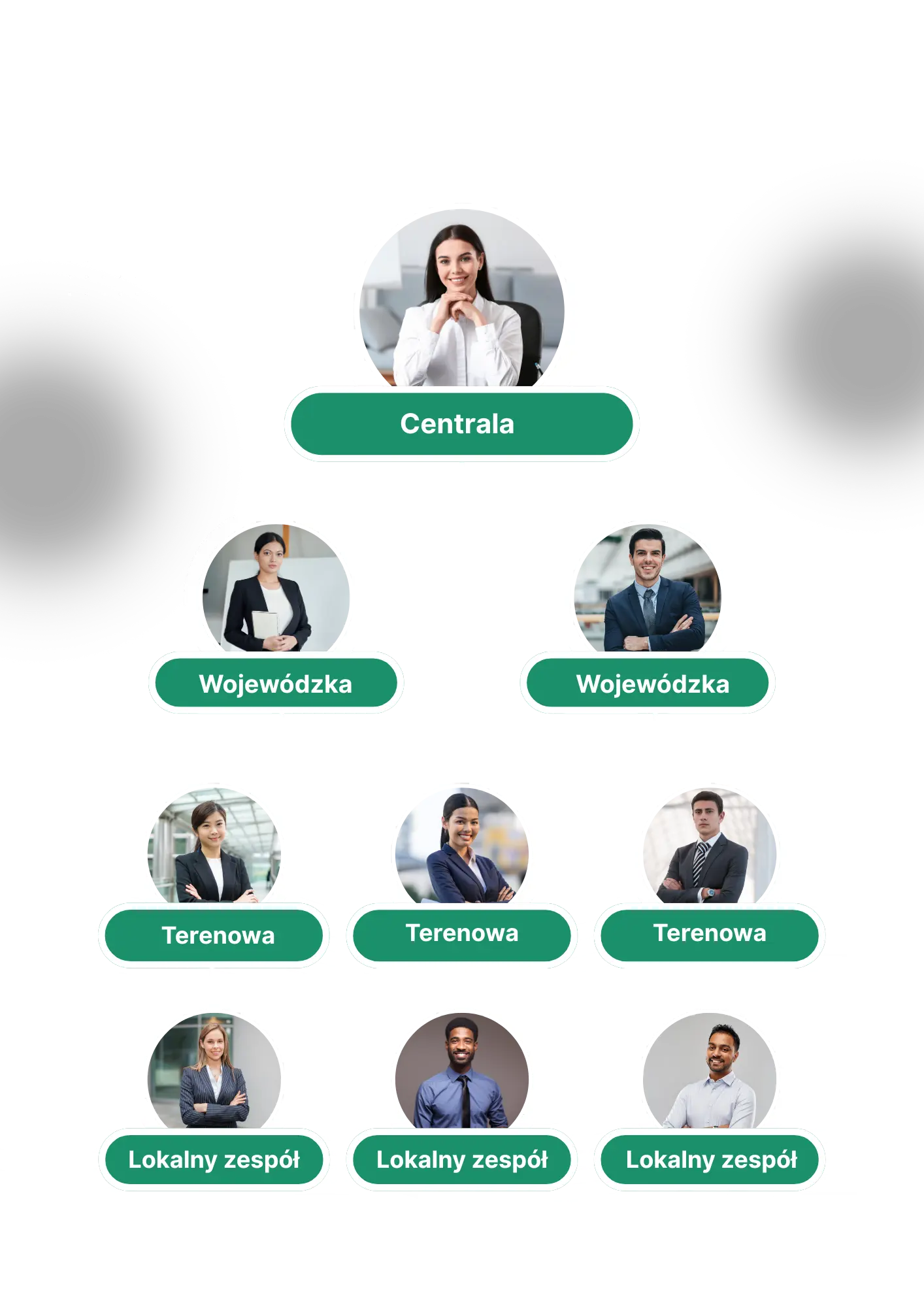 Schemat struktury organizacji